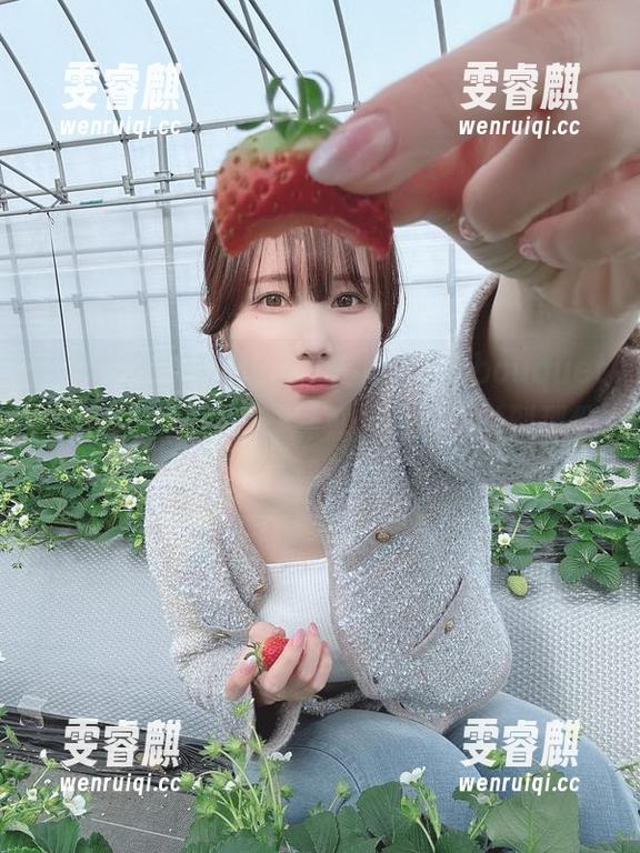 高清写真，けん研(けんけん)的bouquet，花香萦绕，透过屏幕仿佛能感觉到那份温暖。