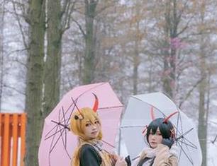 让人停不下来的图片资源：巴鲁巴鲁BaRu和乌尔里希·冯·胡滕趣味碰撞！